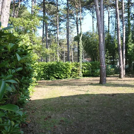 Villa Dream With An Amazing Garden